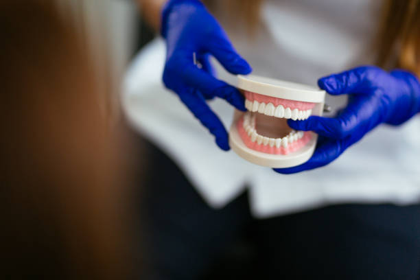 Emergency Dental Services in Princes Lakes, IN